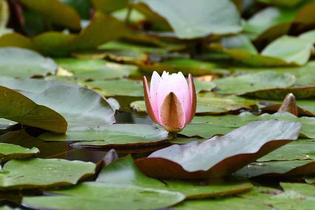 Kinesiologie in Schönenwerd