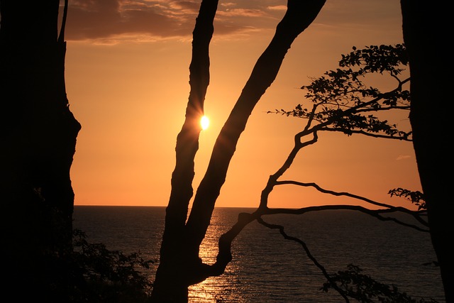 Kinesiologie in Schönenwerd