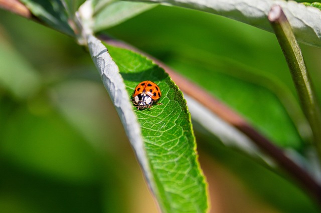 Kinesiologie in Schönenwerd